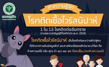 อย่าตระหนก!กรมควบคุมโรคยันยังไม่พบ “ไวรัสนิปาห์”ในไทย-สั่งเฝ้าระวังใกล้ชิด