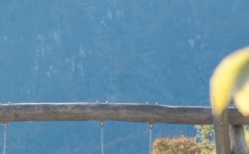 “หมอเจด”เตือน“อย่ามองแค่LDLลดลง” แต่“ใจ-มุมมอง”สำคัญกว่าตัวเลขไขมัน