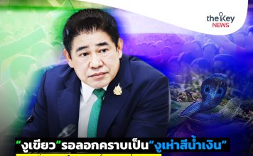 “งูเขียว”รอลอกคราบเป็น“งูเห่าสีน้ำเงิน” แผนสั่งสอน“ผู้กอง”…เรื่องจริงที่รอเวลา