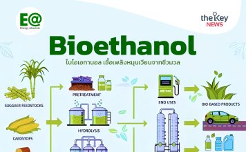 ”Bioethanol ไบโอเอทานอล”เชื้อเพลิงหมุนเวียนจากชีวมวล