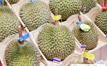 ทุเรียนไทยส่งออกไปจีนทะลุ 1 ล้านตัน เร่งระบายทุเรียนใต้-ดันแปรรูปเพิ่มมูลค่า