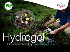 Hydrogel ไฮโดรเจลในเกษตรกรรมฟื้นฟู “Regenerative Agriculture”