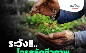 ระวัง!!..โจรสลัดชีวภาพ